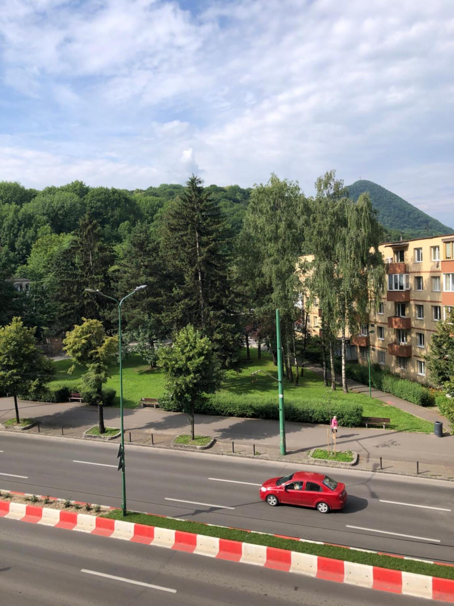 Apartment Central 4 *